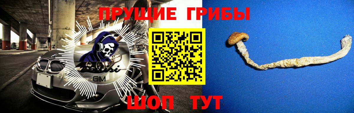 Галлюциногенные грибы мицелий Владивосток